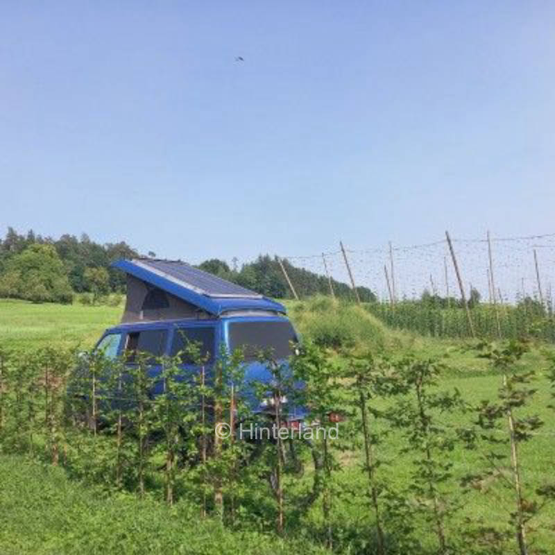 Ferienhof mit Naturpool