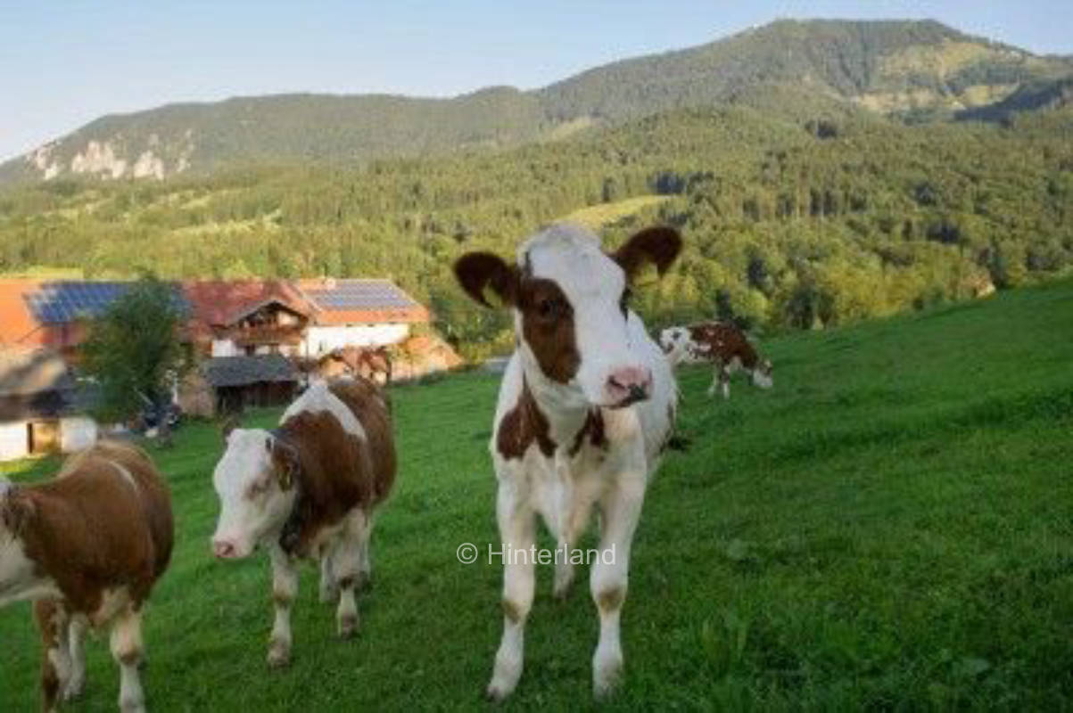 Panorama-Stellplatz am Samerberg Natur & Abenteuer