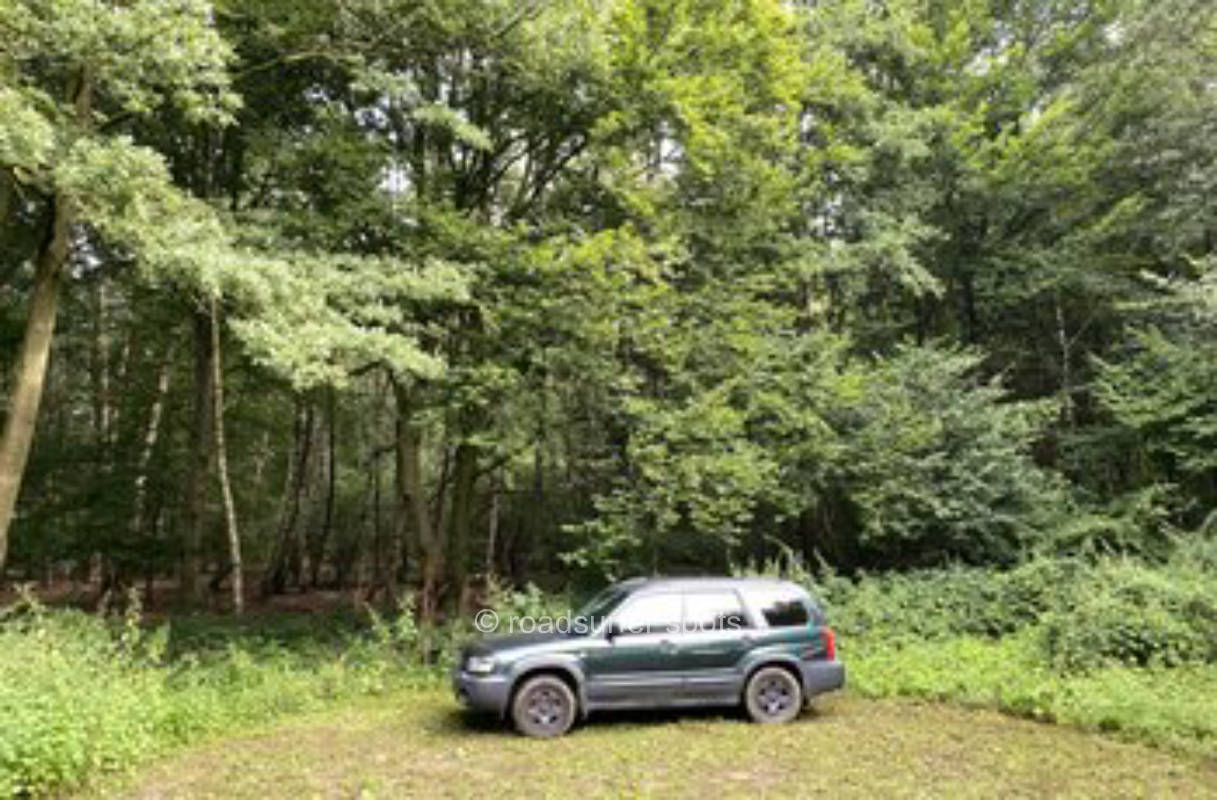 Exklusives Camping an der Waldlichtung