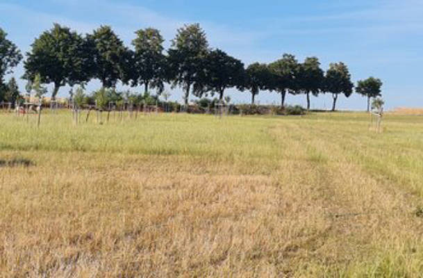Erzgebirgsaussicht vom Imkerhof