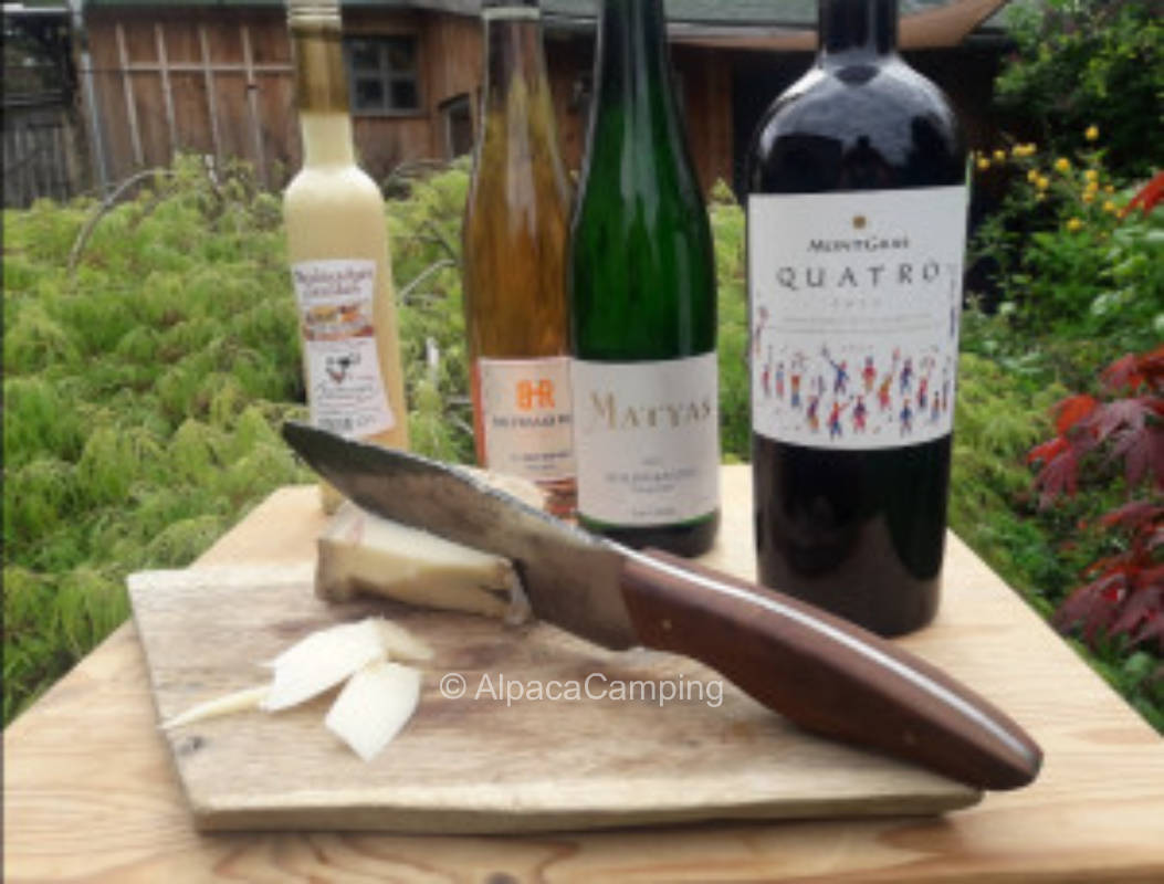 Alpaca farm at apple forest #2