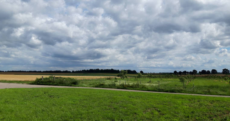 Pitch "Feldblick