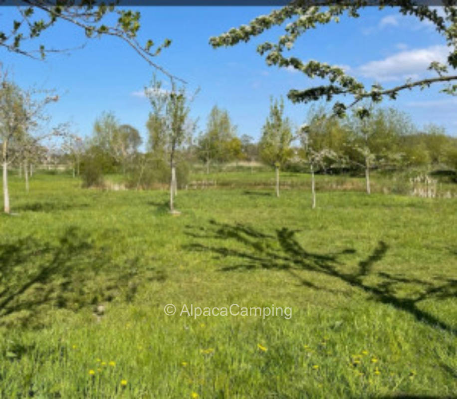 At the orchard, privater Stellplatz