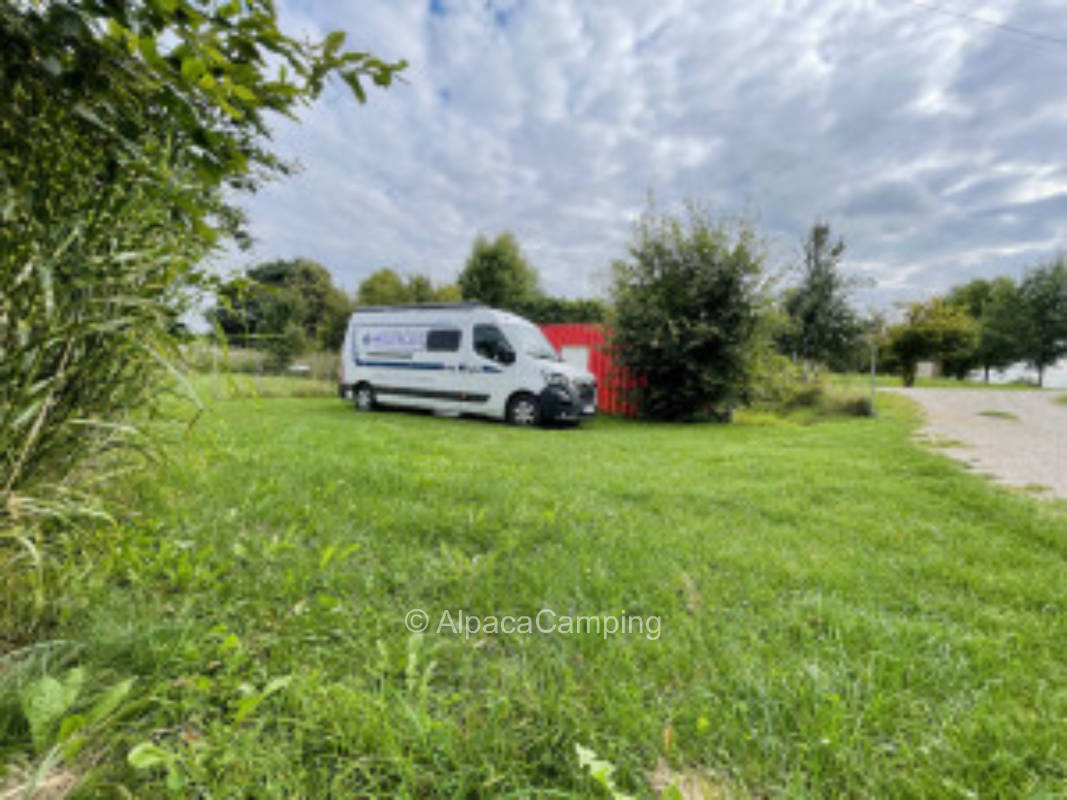 Straussenfarm & Lebenshof, ruhiger Stellplatz mitten drin #2