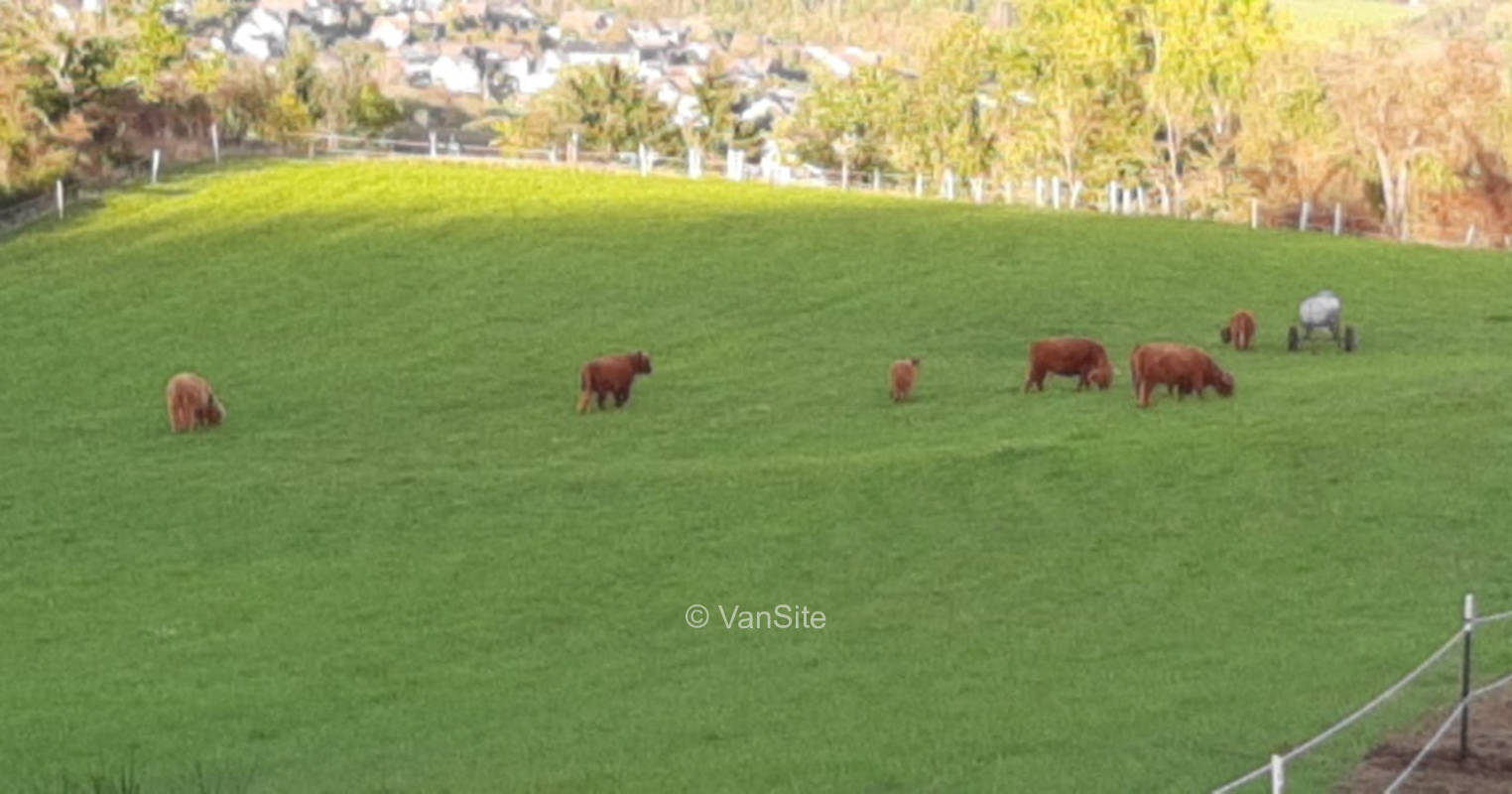 Stellplatz am Hohlandhof