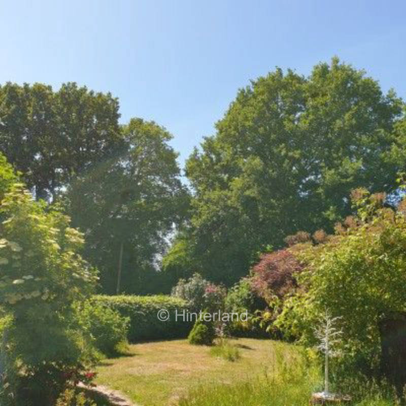 Idyllischer Platz unter Eichen in Nordseenähe