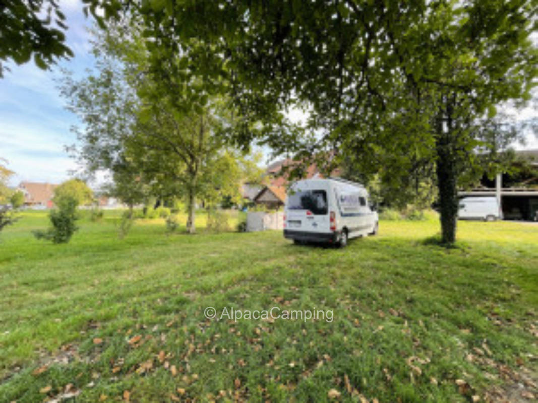 Pitch behind the winery #2