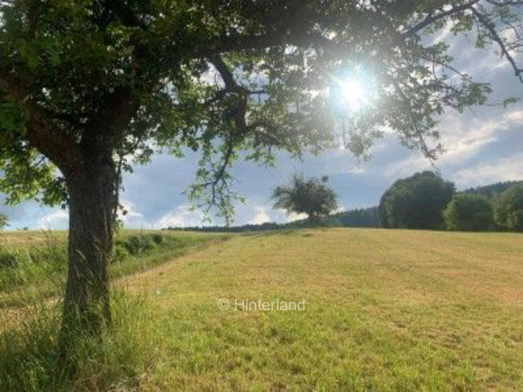 Panoramablick auf den Spessart