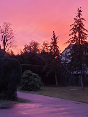 privater Stellplatz (Campspace 9538)