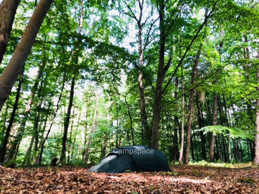 Waldcamping mit Blick auf den Harz bei Göttingen