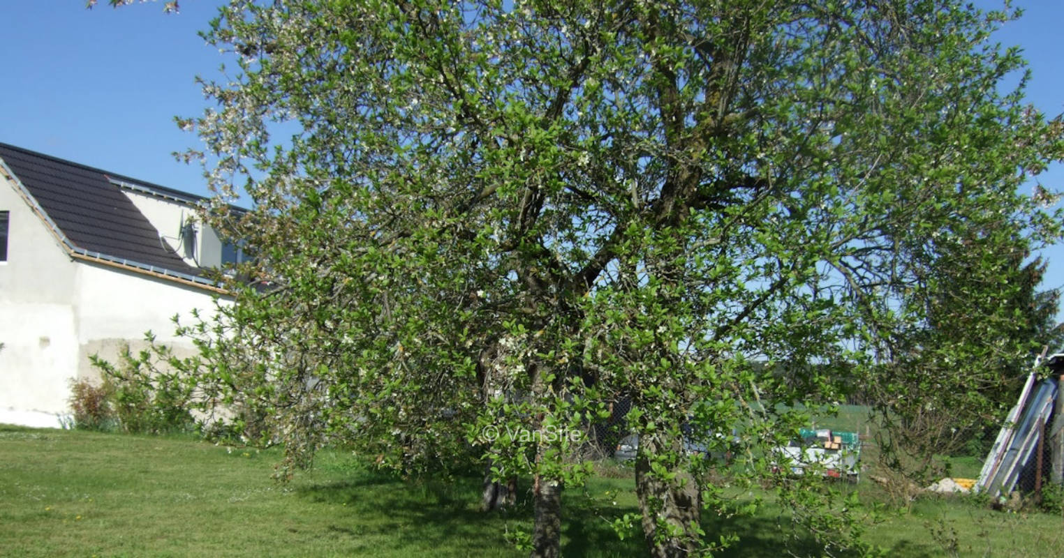 Schöner Stellplatz in Brandenburg