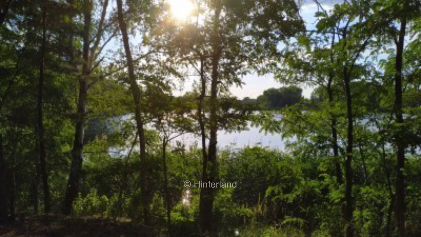 Stellplatz am Kiefernwald 