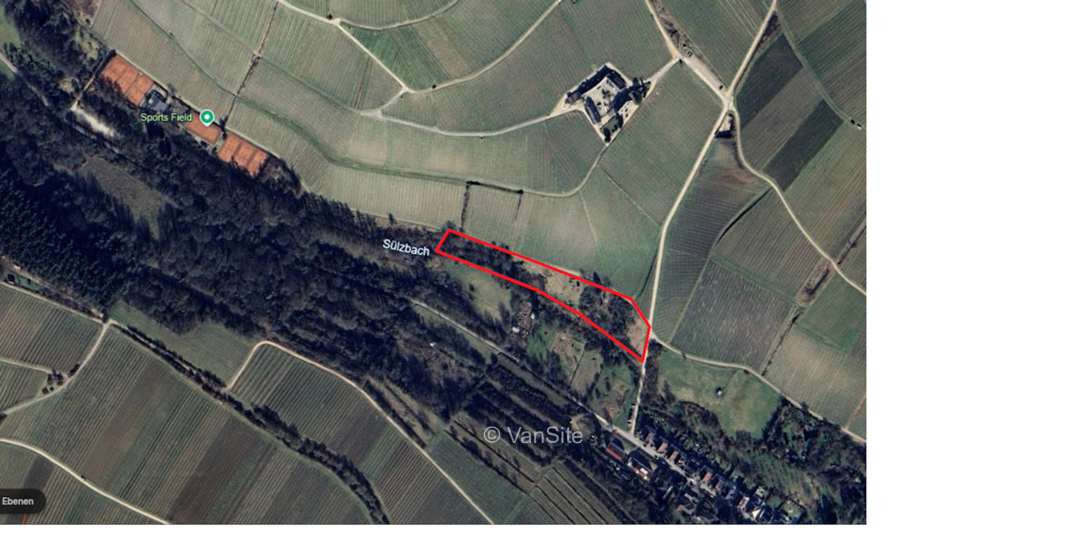 Weide im Sulzbachtal Eltville