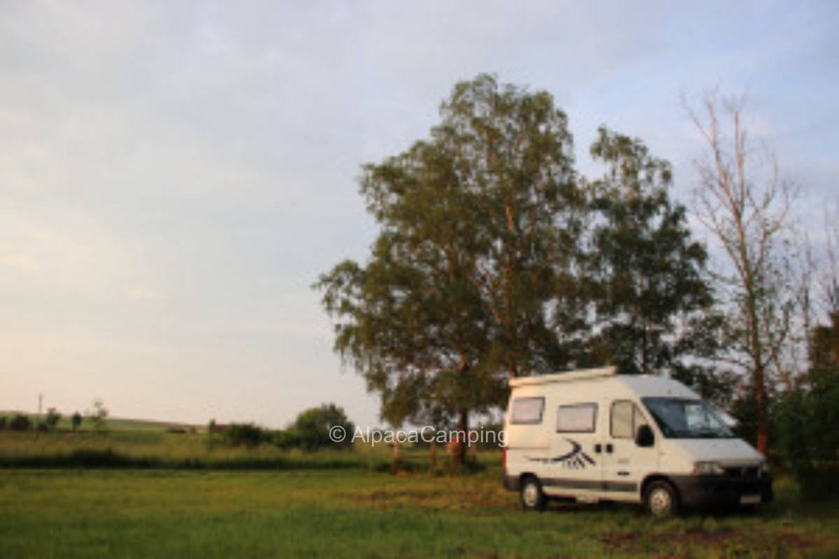 Idyllic meadow at the foot of Findelberg #1