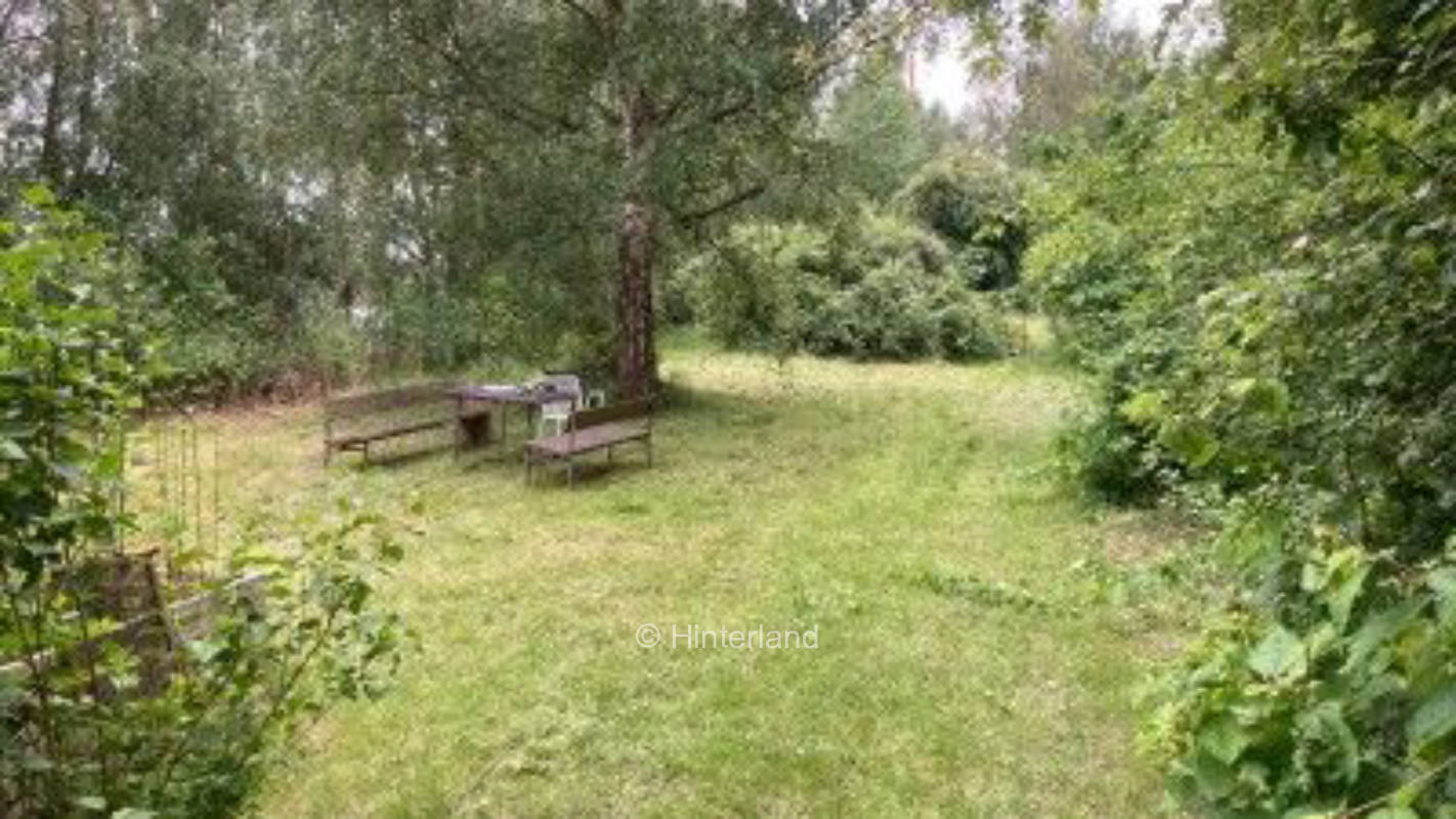 Nature experience in the middle of Hamburg