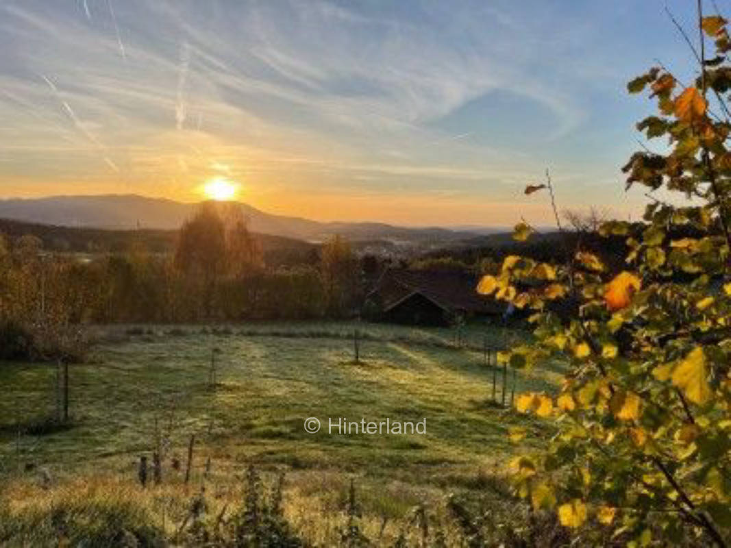  Obstbäume und Aussicht im Lallinger Winkel