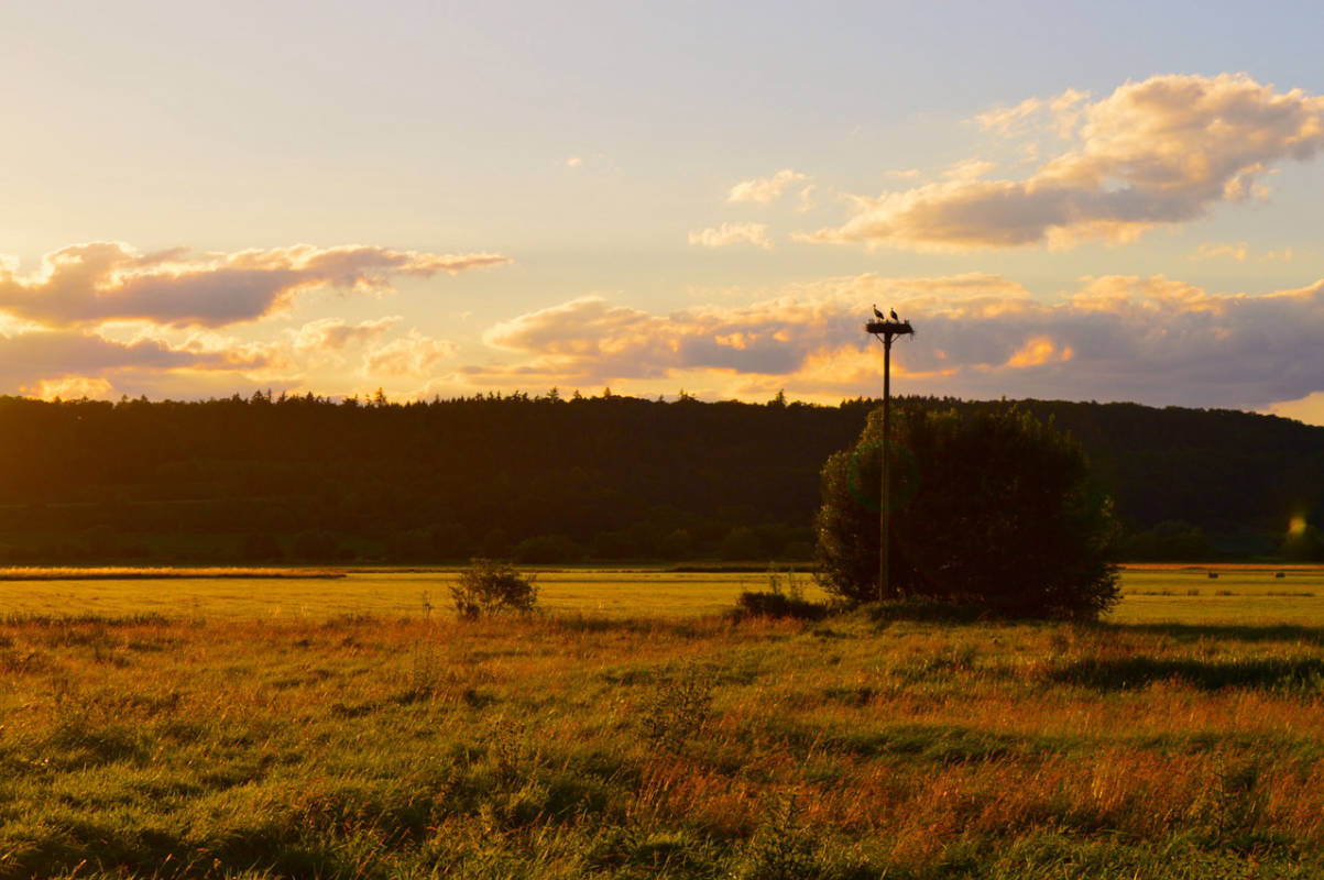 Die Wetterau - Ein möglicher Stellplatz?