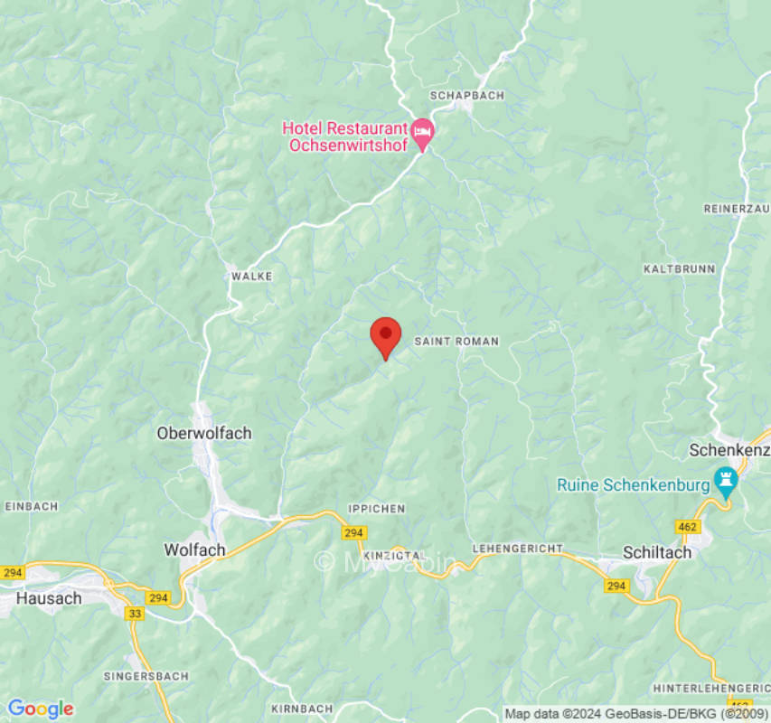 Naturcampingplatz mitten im Wald unter den Buchen