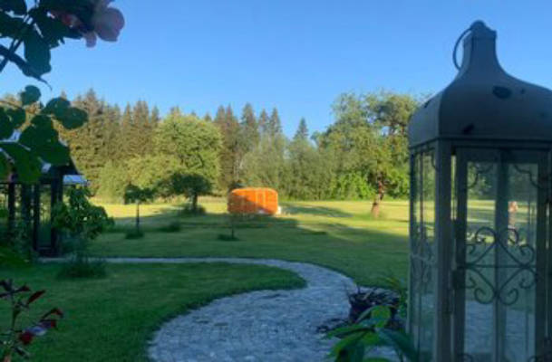 Wiese zwischen Obstbäumen mit Waldblick