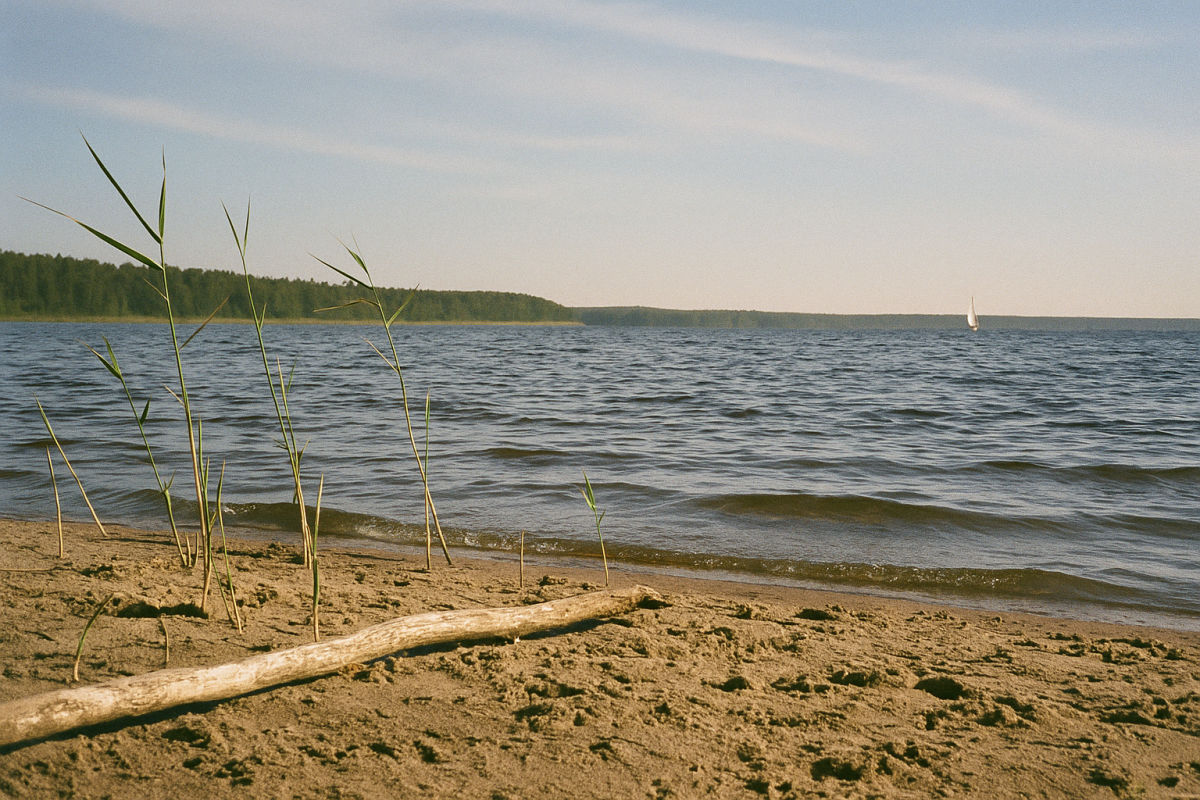 Der Müggelsee – KI-generiertes Symbolbild