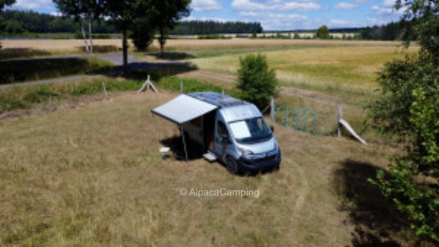 Auf der Schafweide #2