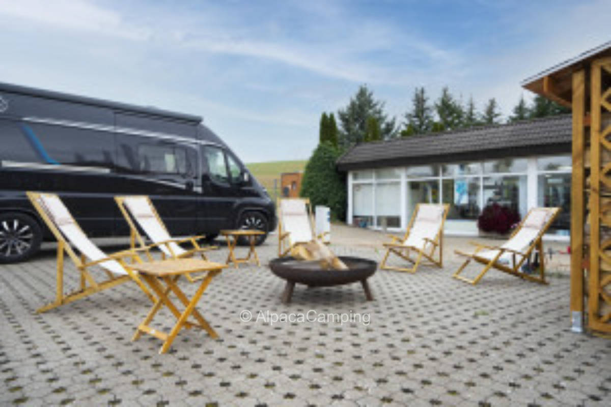 Golden floodplain #7