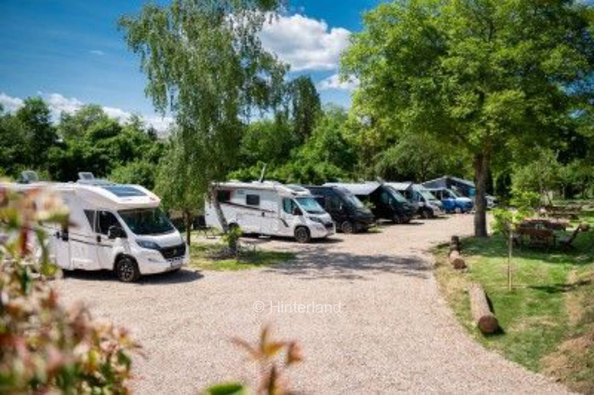 Pitch at the beautiful wine yard