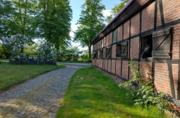 Half-timbered farm in Lüneburg Heath