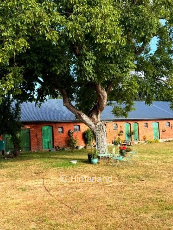 Naturerlebnis am Moor – Elbe & Radfahren pur