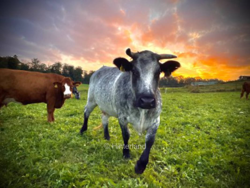 Time and space to enjoy in the middle of nature