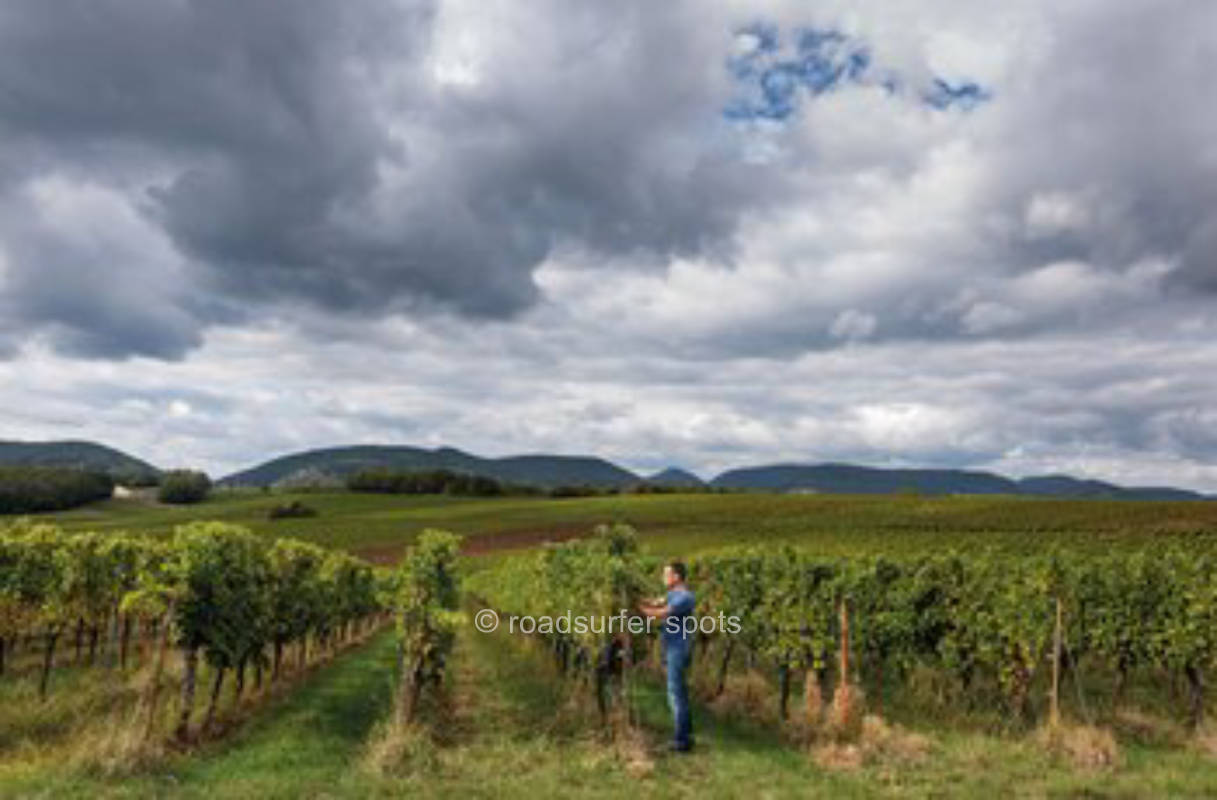 Camping am Rande der Weinberge auf dem Weingut