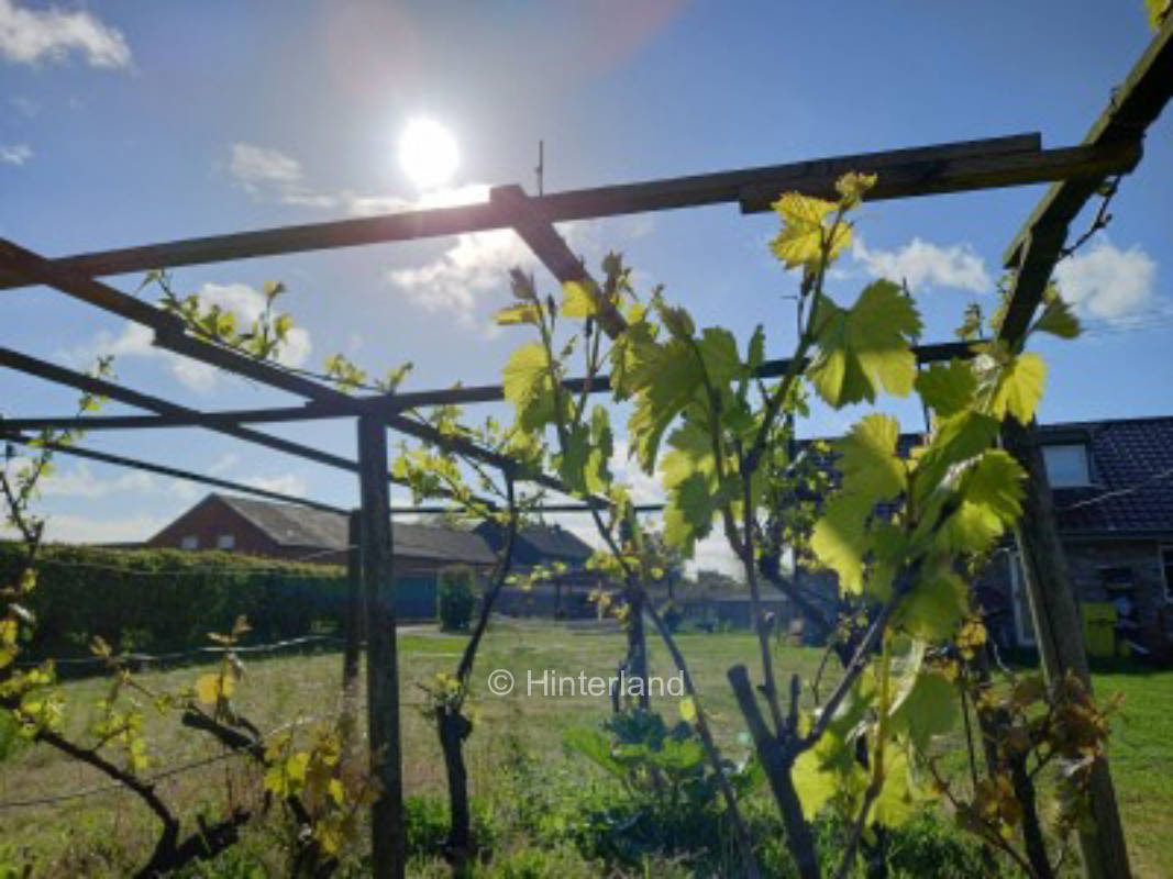 arrive, relax and recover