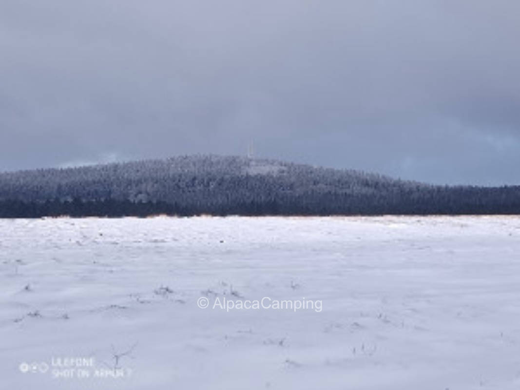 Kornberg view #3