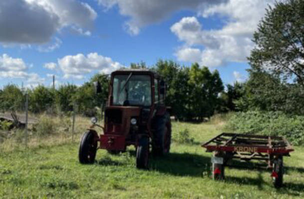 Fruit orchard near the Baltic Sea coast near Wismar