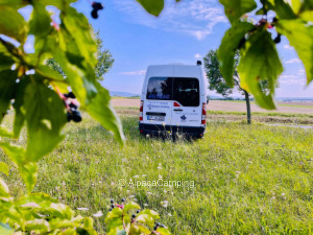 Camping am Feld in Wiebelsberg #3