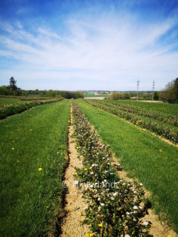 Organic farm at the gates of Munich