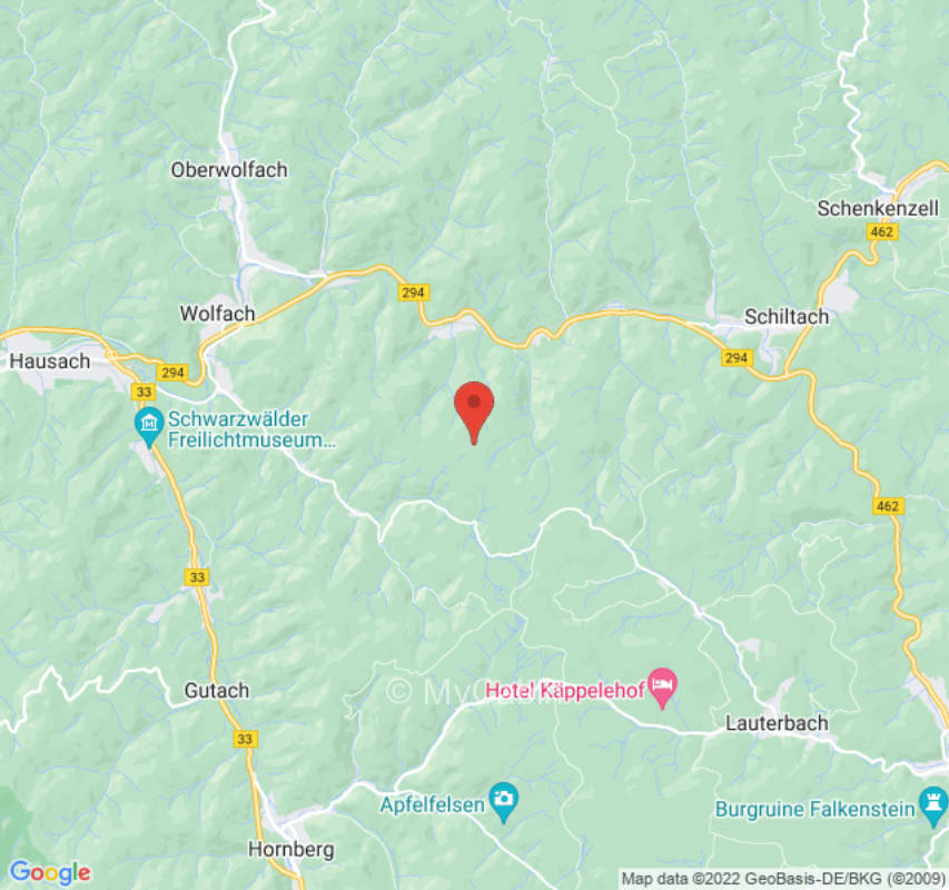 Beim Baum der Träume