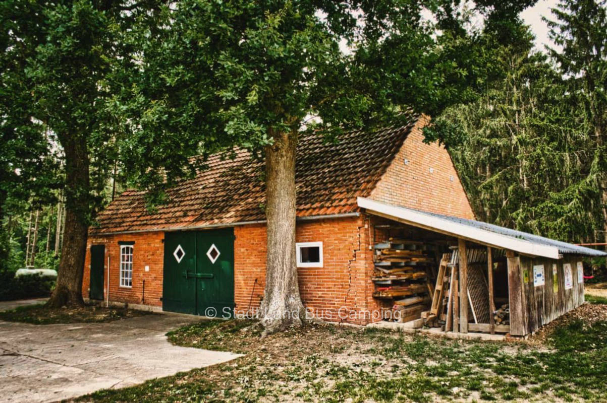 Vacation farm Nyenhuis - At the forest