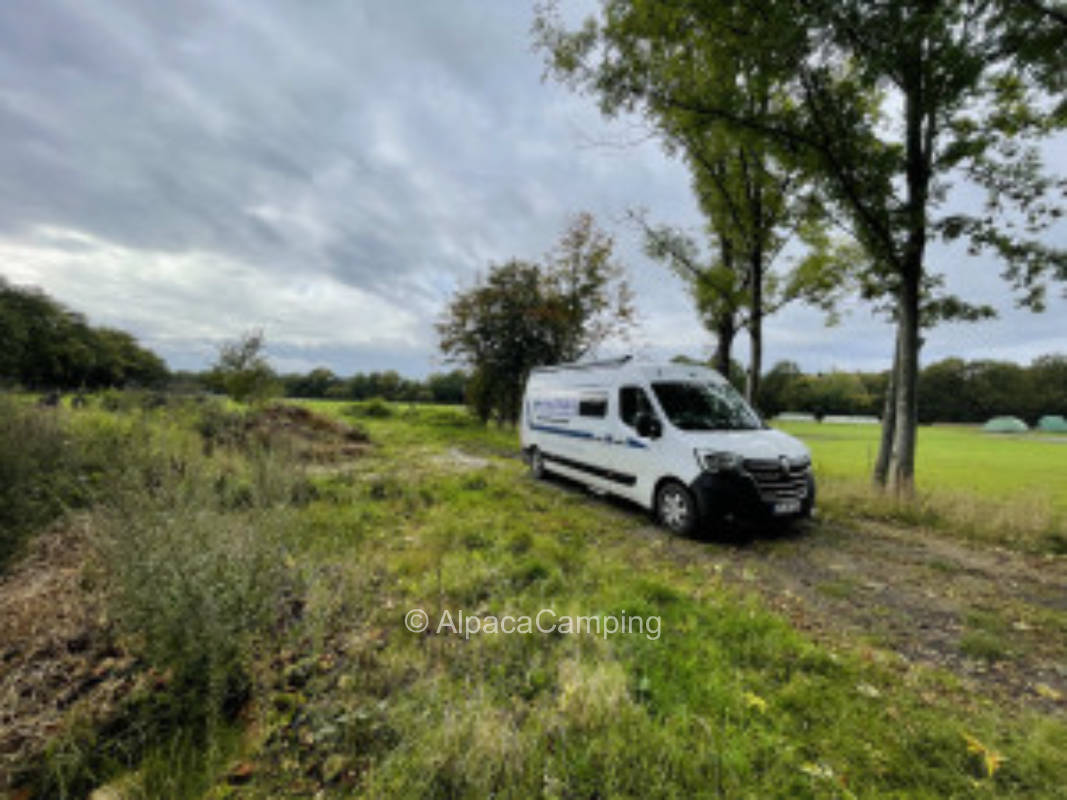 Pitch at a cow pasture #2