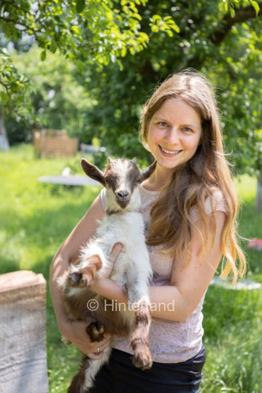 Sleeping in the middle of a herd of goats