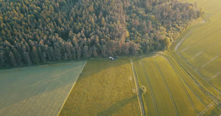Meadow at the Apfelallee
