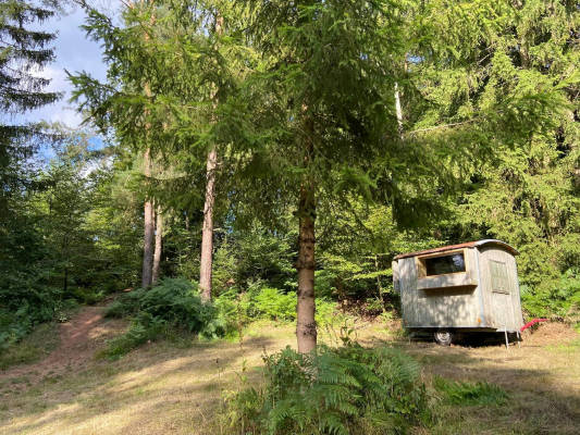 Schaferwagen idylle im pfalzer wald