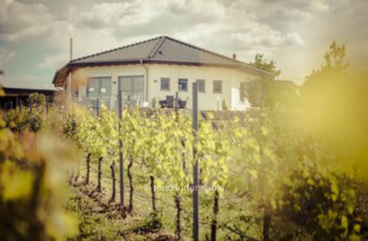 Mit Blick über das rheinhessische Hügelland