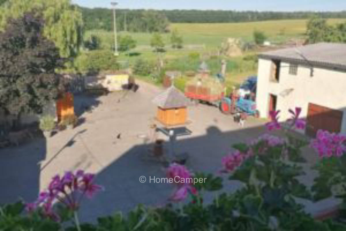 Privater Platz in Seelingstädt/Trebsen