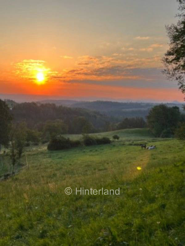 Malerisch & abgeschieden - Sächsische Schweiz
