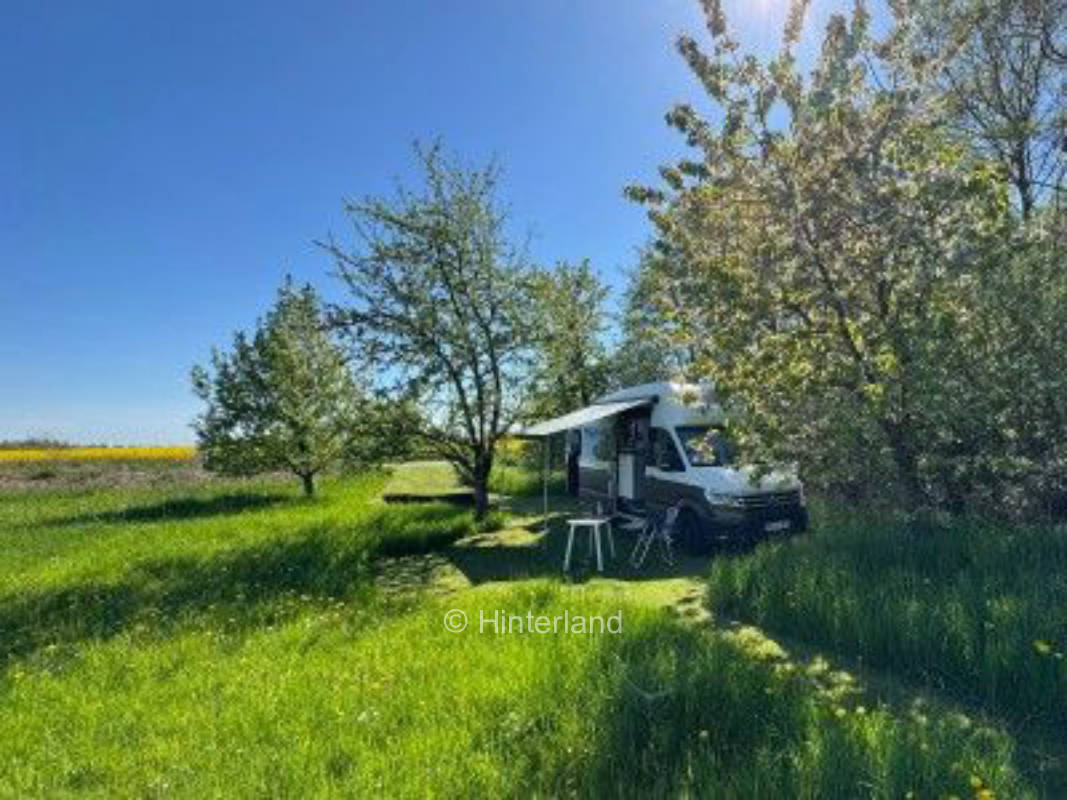 Obstwiese hinterm Nordseedeich
