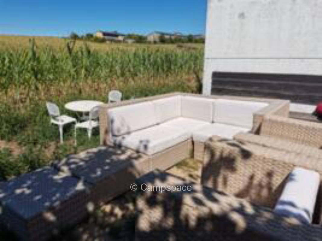 Romantic view of the cornfield