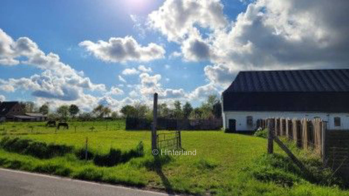 A meadow in the middle of meadows