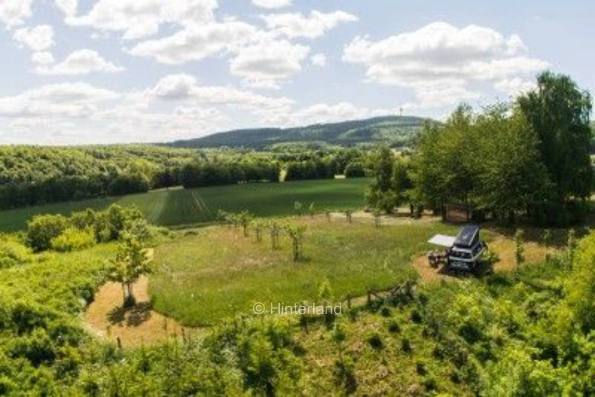 Große Streuobstwiese im Weserberg(hinter)land
