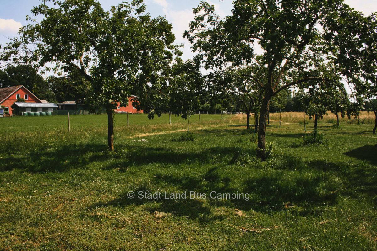 Geschken Hof - At the quinces